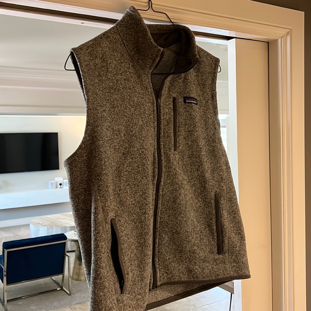 Great Patagonia vest